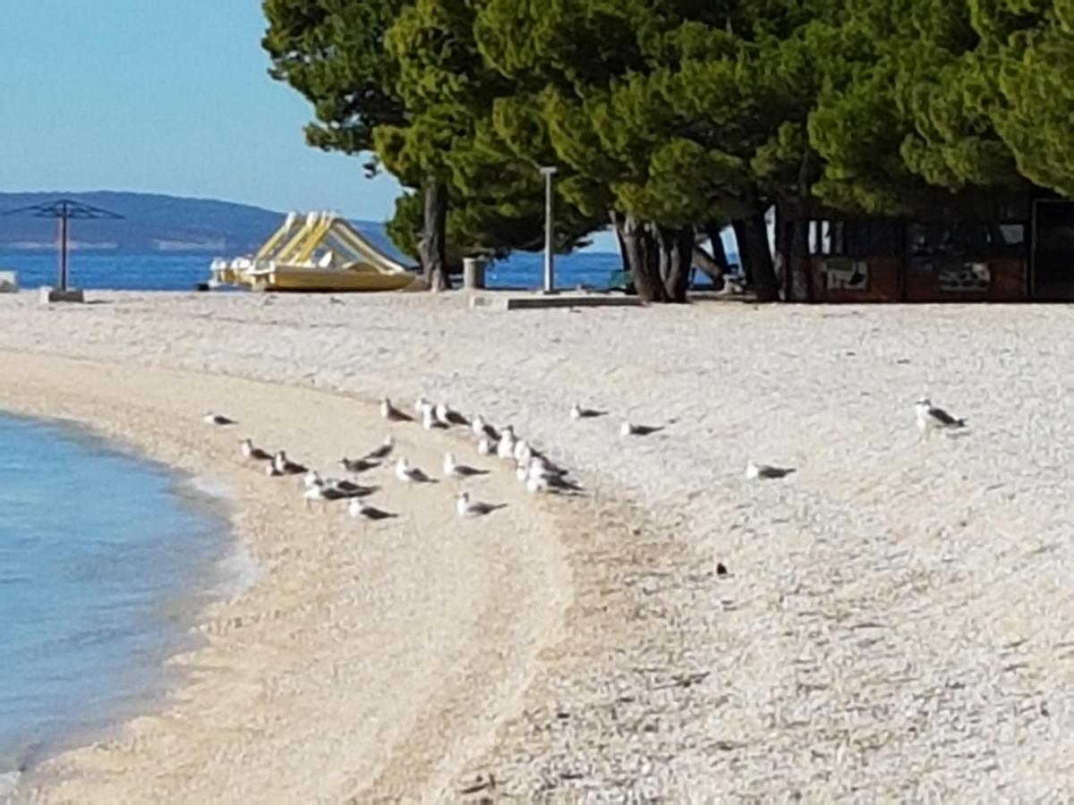 Apartmani Vukusic Promajna Dış mekan fotoğraf